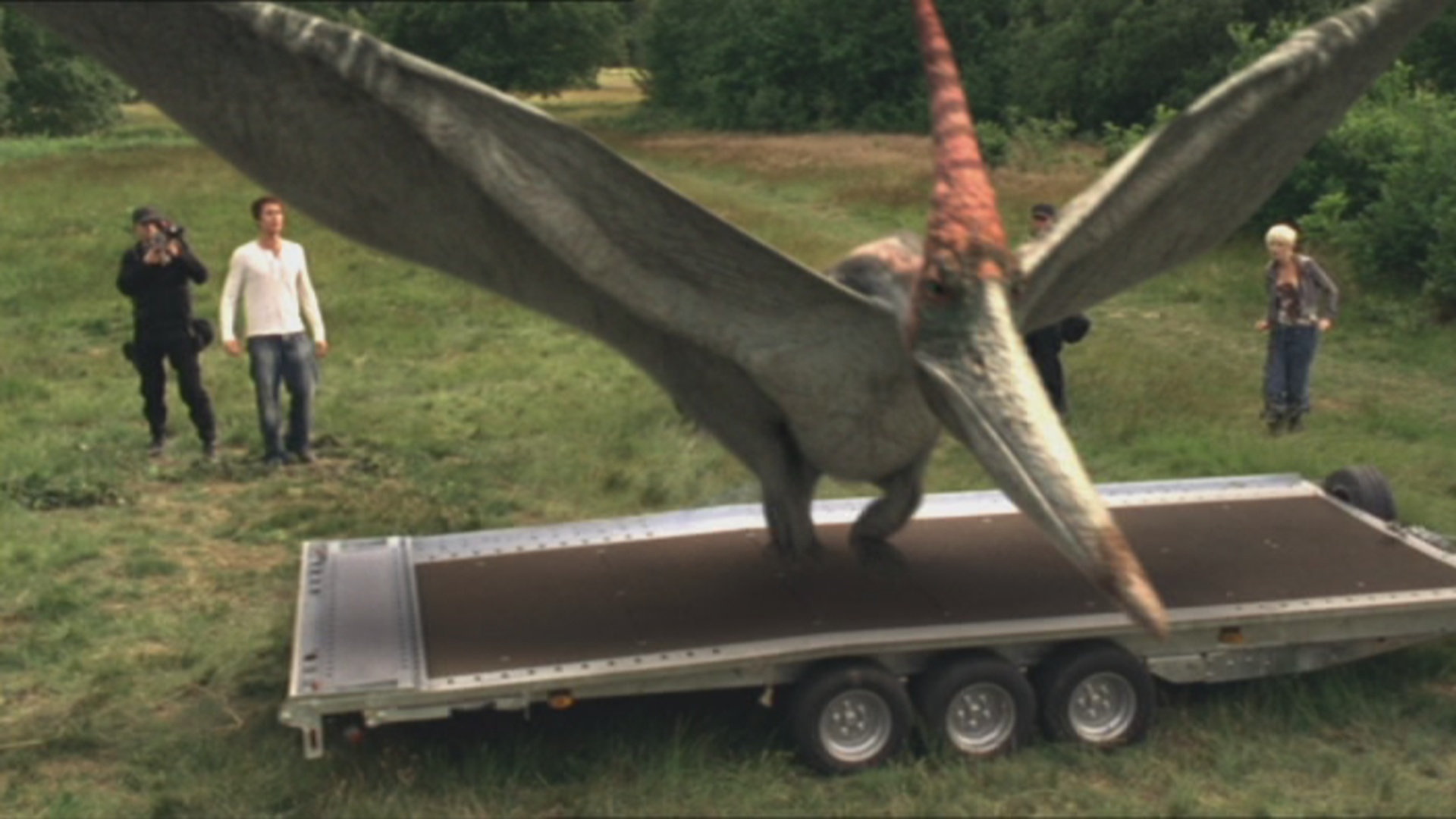 pteranodon not a dinosaur