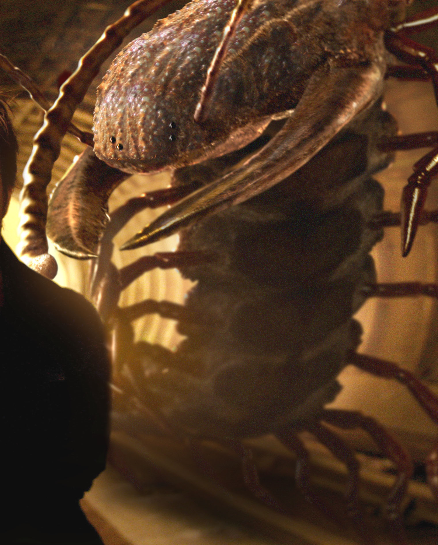 anomaly 2 wikia