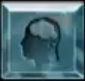 Brain editor