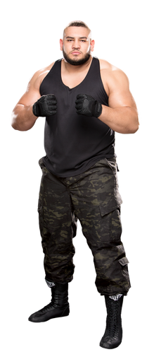 rezar wwe selmani gzim akam wrestling pro wiki nxt college prowrestling styles wikia ring background stat champion fandom