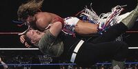 Royal Rumble 1991/Image gallery