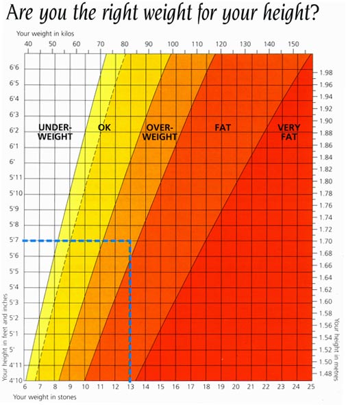 body statistics calculator