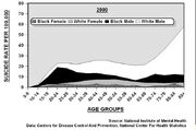 Suicide rates in U.S. by gender and race (2000)