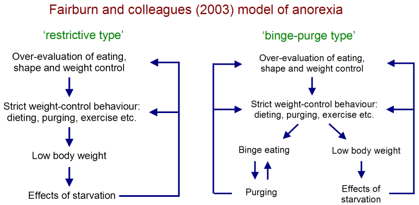 biochemical correlates of anorexia and bulimia essay biochemical correlates of anorexia and bulimia essay
