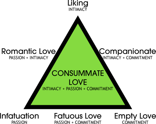 TriangleTheory