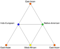 Four race triangle graph