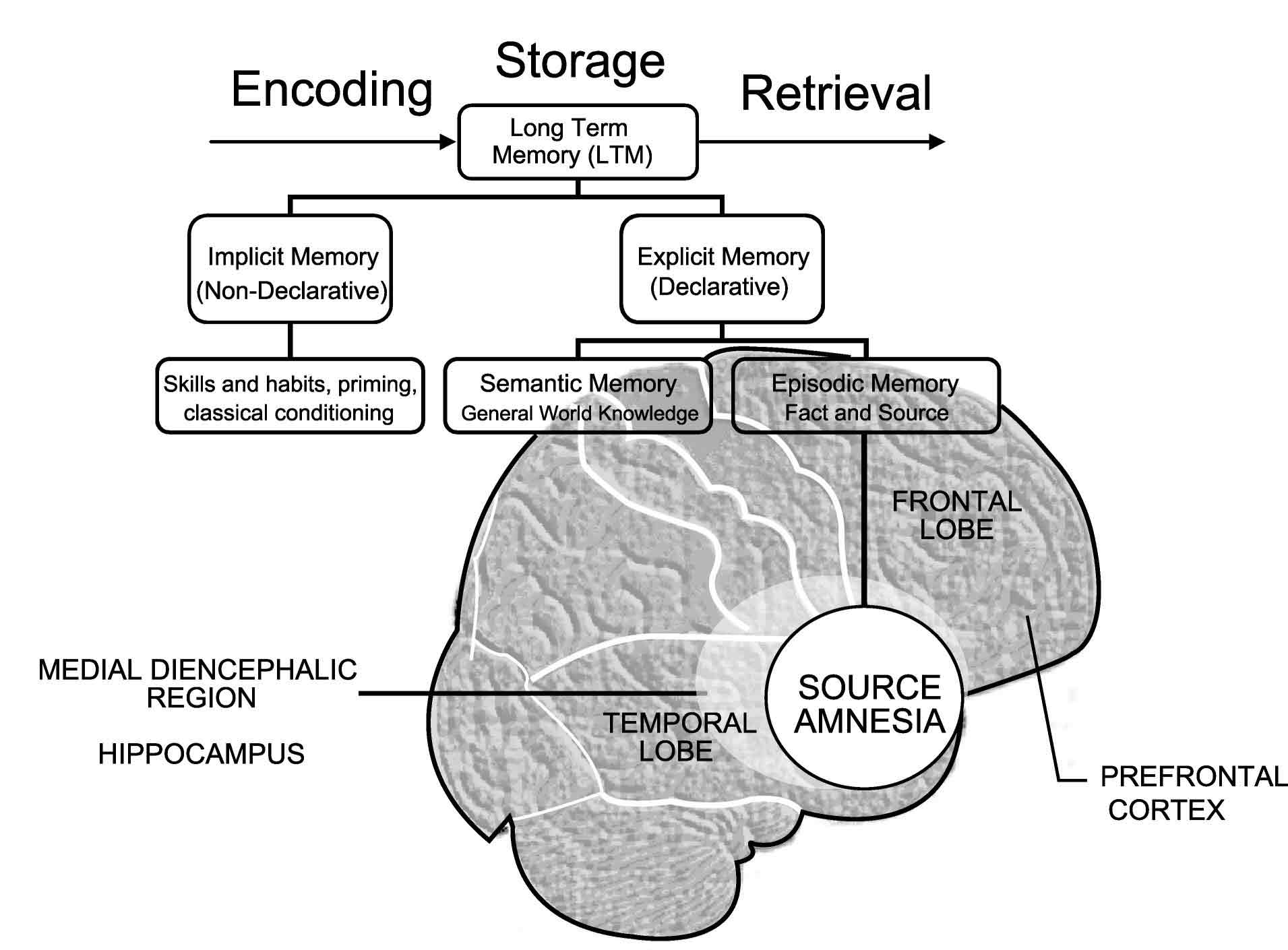 Source Amnesia Psychology Definition Example