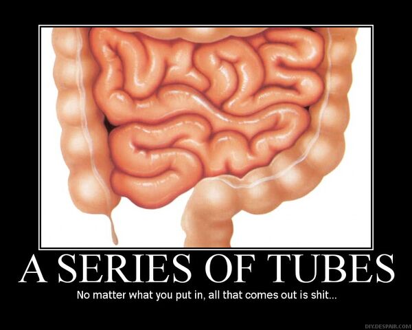 File:Seriesoftubestr6.jpg