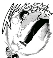 Ranma blasted - Lion's Roar