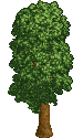 RCT_1_Tree_04.png