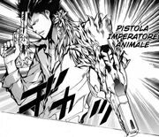 Bester cambio forma