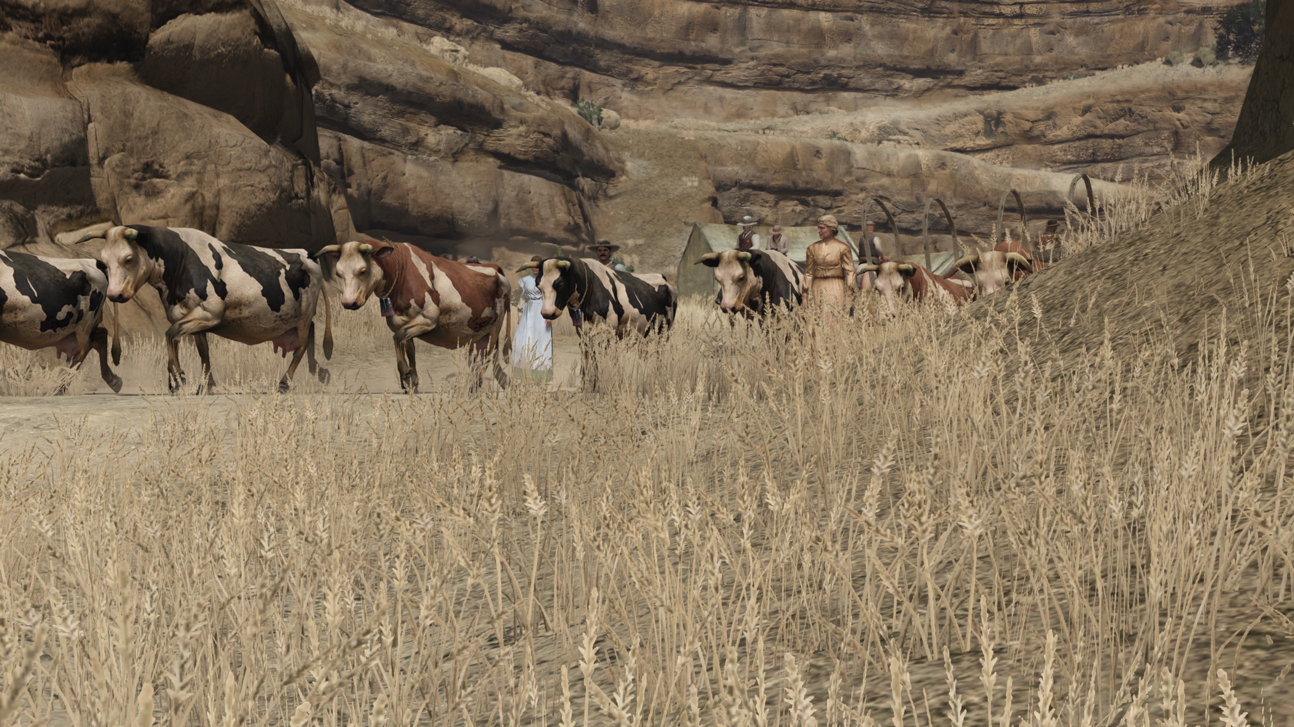 Cattle Rustling Red Dead Wiki FANDOM powered by Wikia