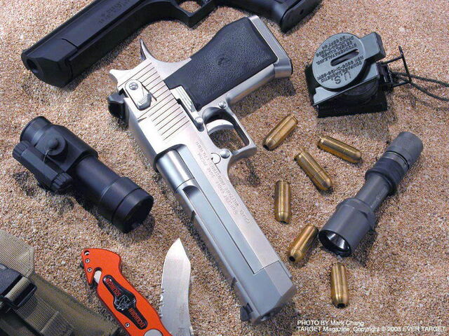 File:Desert-Eagle-2-BRUUTWS4SW-800x600.jpg