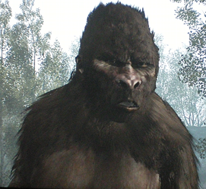 Sasquatch