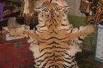 Piel tigre.jpg