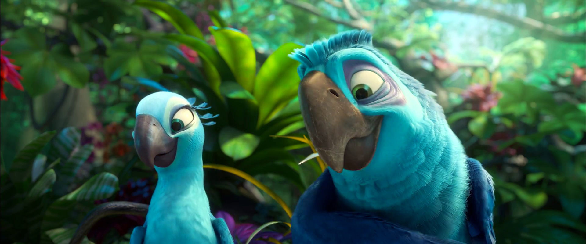 Image Rio 2 Official Trailer 3 17 jpg Rio Wiki Fandom Powered By image-rio-2-official-trailer-3-17-jpg-rio-wiki-fandom-powered-by