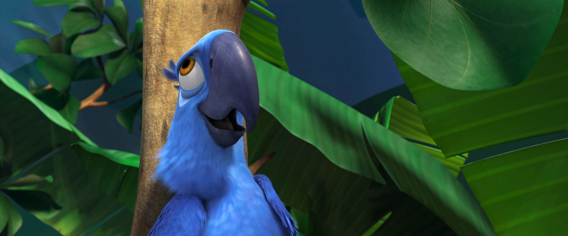 Image Rio (movie) wallpaper Blu 1.png Rio Wiki Fandom powered