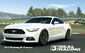 Showcase Ford Mustang GT Premium
