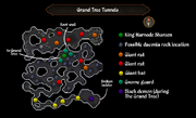 Grand Tree Tunnels map