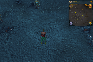 Treasure Trails/Guide/Coordinates - RuneScape Wiki - Wikia