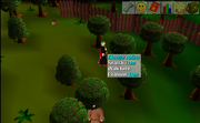 Lost City Searching a Tree