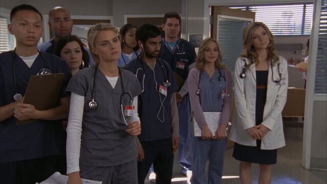 File:8x5 interns.jpg
