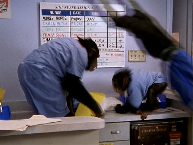 File:3x3 Monkey interns.jpg