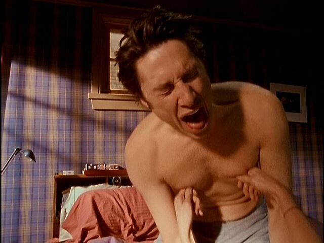File:3x19 nipples.jpg
