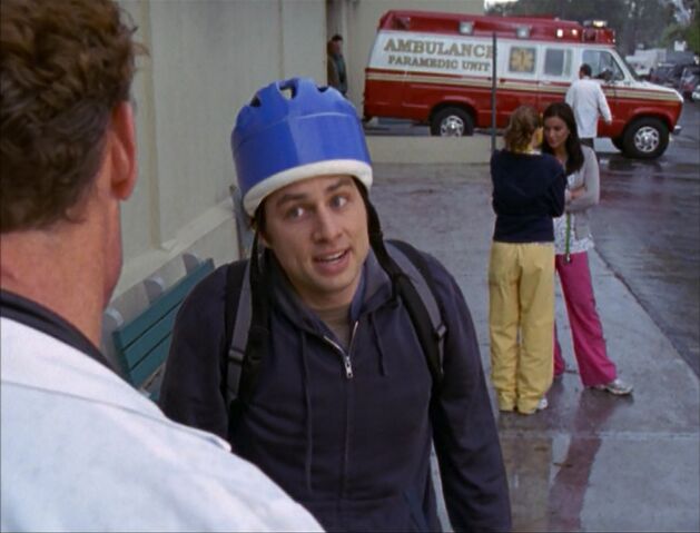 File:5x22-Hairmet.jpg