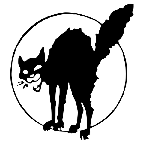 File:SABATOGE CAT.png