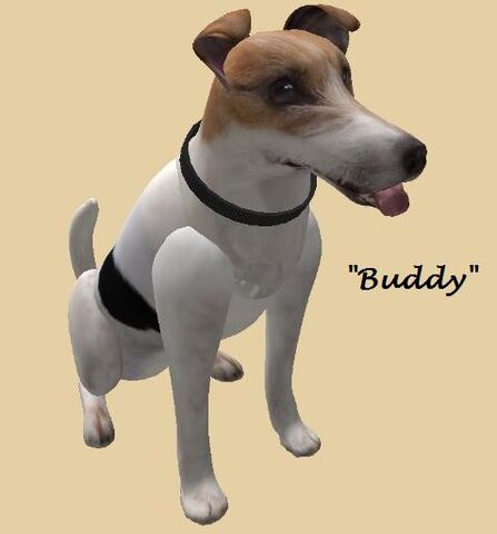 File:Buddy1.jpg