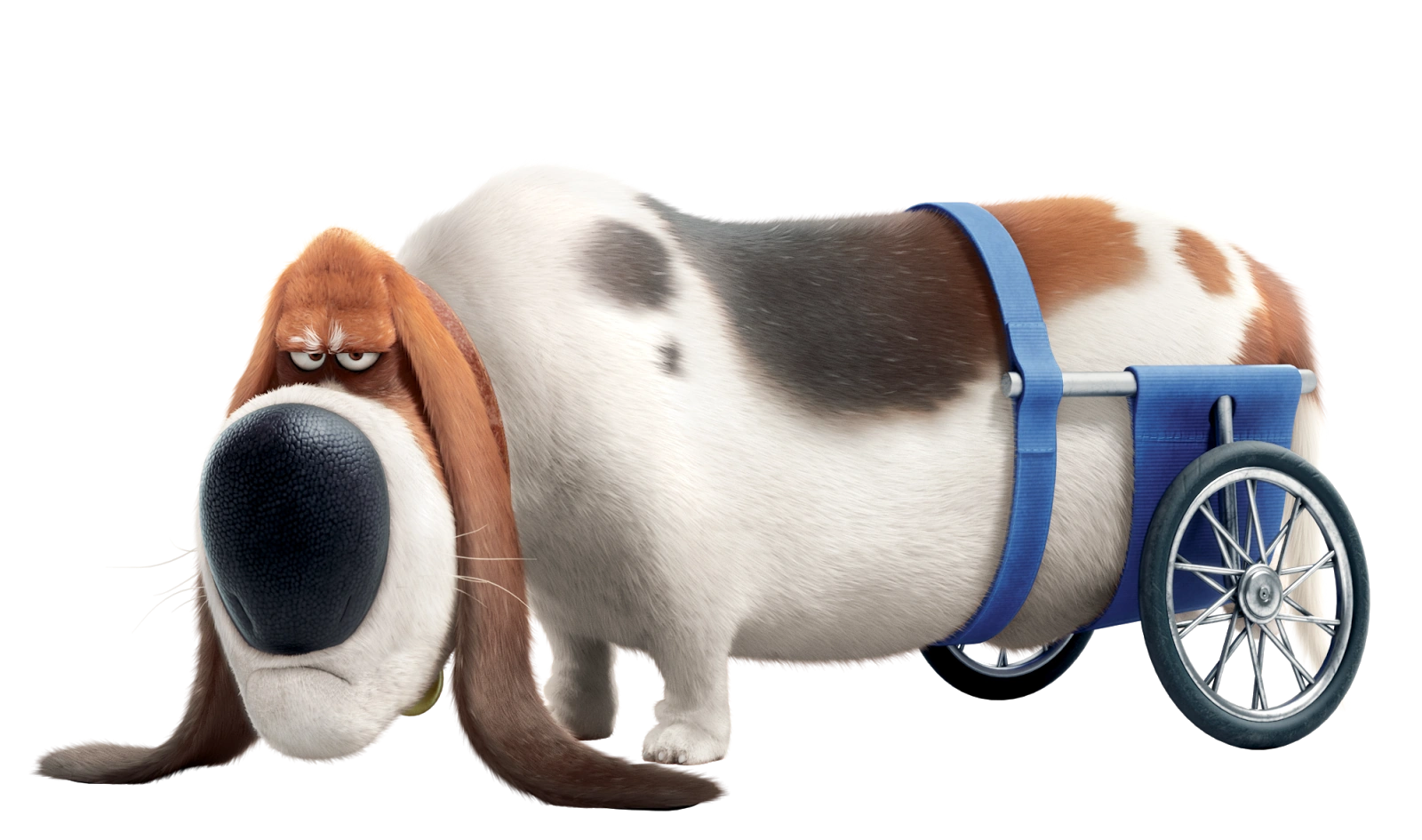 Image - PETS POPS CA 01.png | The Secret Life of Pets Wiki | FANDOM powered by Wikia