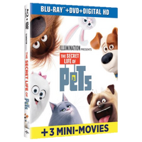 Dvd pets