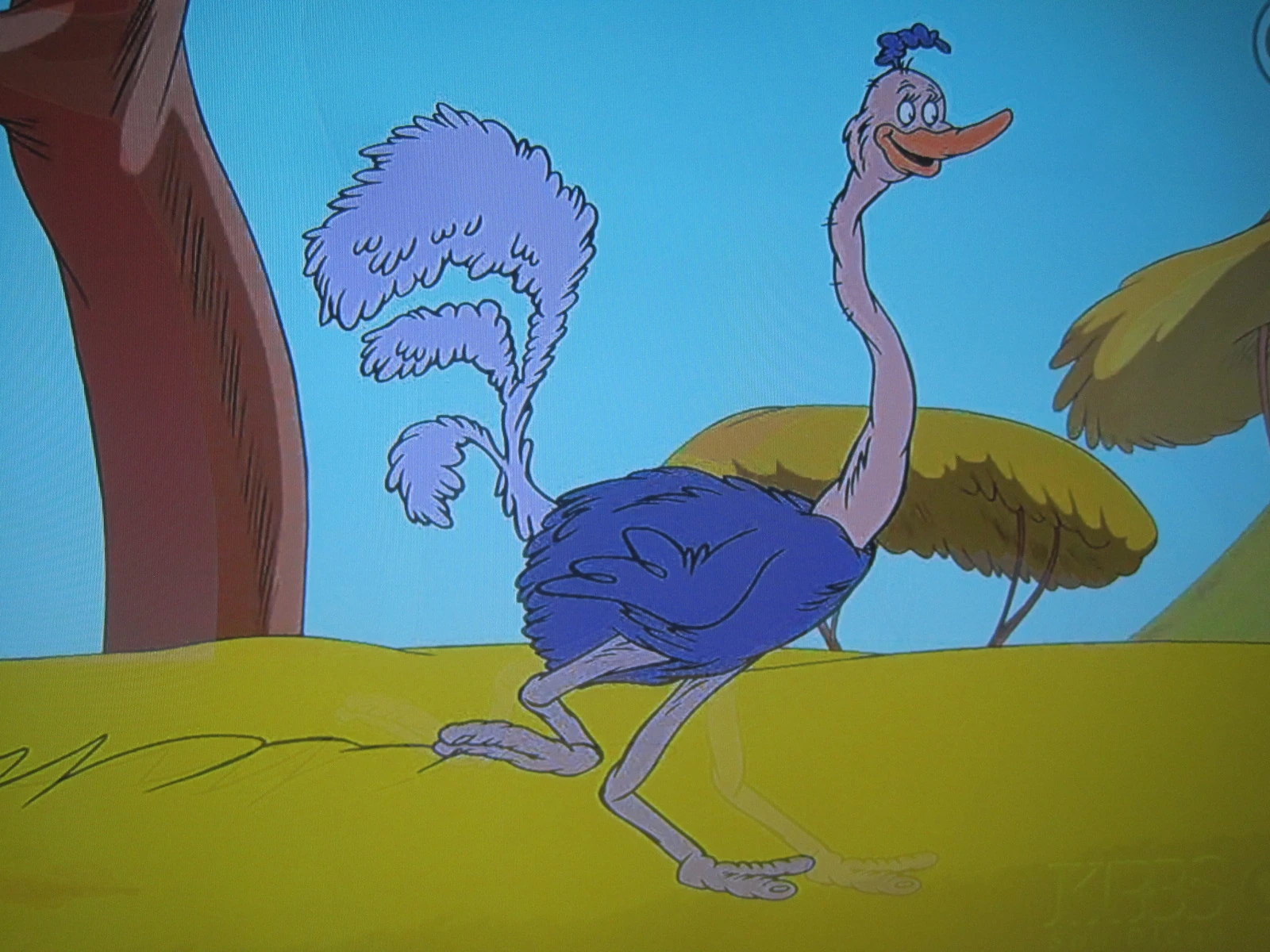 Ostrich | Dr. Seuss Wiki | Fandom powered by Wikia
