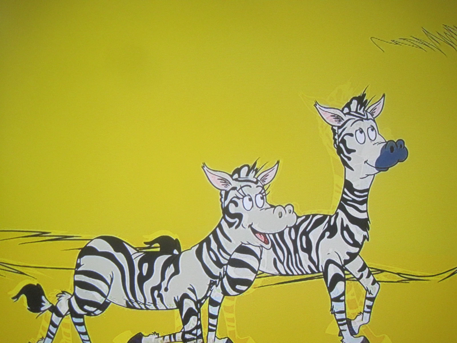 Zebra | Dr. Seuss Wiki | Fandom powered by Wikia