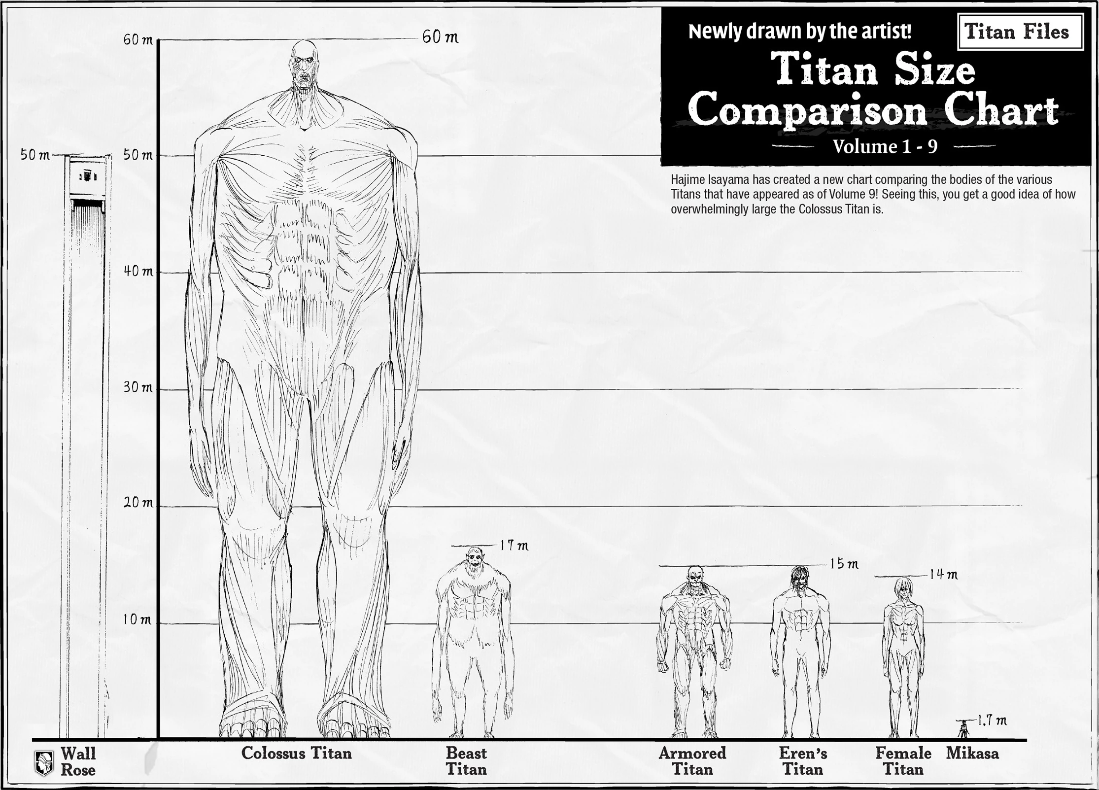 Image Titan Shifters size comparison.jpg Shingeki no Kyojin Wiki