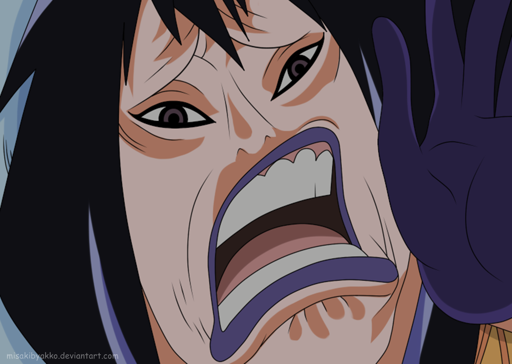 One Piece: Ship Of Fools Wiki One Piece: Ship Of Fools Wiki