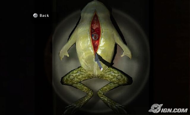 File:SM Frog Dissection.jpg