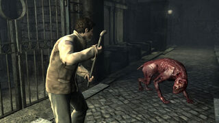 Alex from Silent Hill fighting off a feral