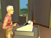 Cash Register (The Sims 2)