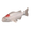 Tancho koi
