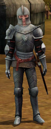 Steel plate mail male
