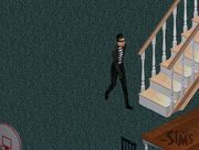 Ladron sims.jpg