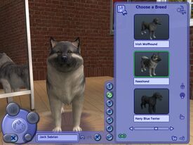 Créer un Animal (Les Sims 2)
