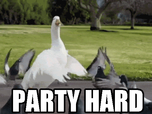 Znalezione obrazy dla zapytania party hard gif
