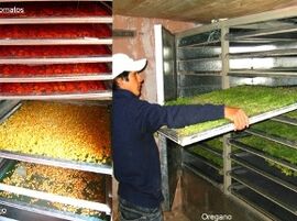 Simply Solar, food dryer 2, 8-11