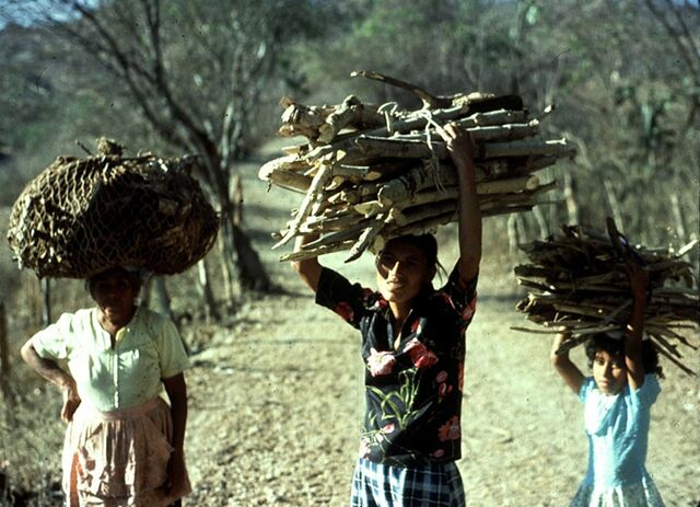 File:Collecting Fuelwood in Guatemala.jpg