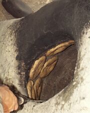 Sabur Achtari Tandoor Oven