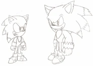 Werehog Generations