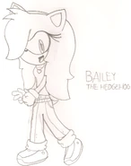 Bailey the Hedgehog